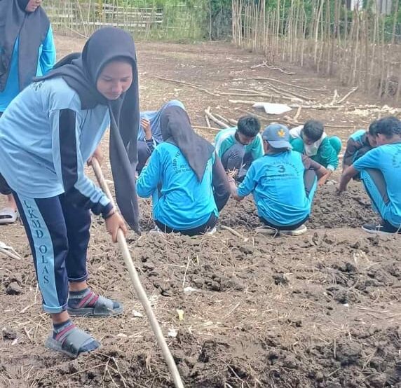 PERTANIAN SEKOLAH